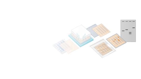 Southern Blot Analysis