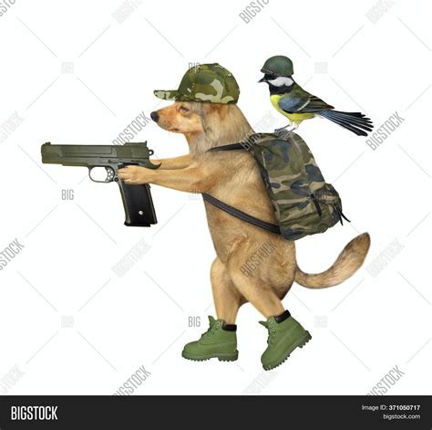 Army Dogs With Guns