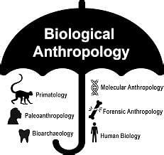 Biological Anthopology - Anthropology Optional for UPSC PDF Download