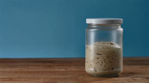 7 Oldest Sourdough Starter In The World [Believe It or Not!]