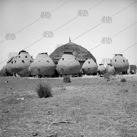 Border of Mali and Niger. Attics in thousand. On 1980.