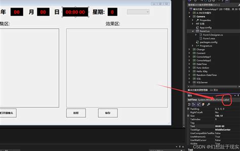 AForge.NET Camera Tutorial VB.NET 的图像结果