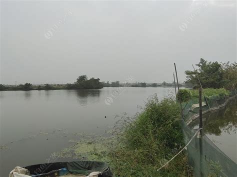 芜湖芜湖县免费钓场大全 - 钓鱼之家