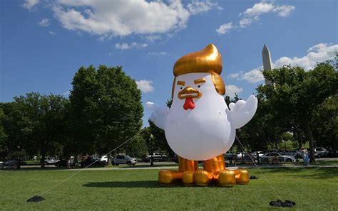 白宫附近竖起巨型充气“特朗普鸡” - 2017年8月10日, 俄罗斯卫星通讯社