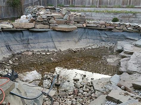 Using a Pool as a Pond 的图像结果
