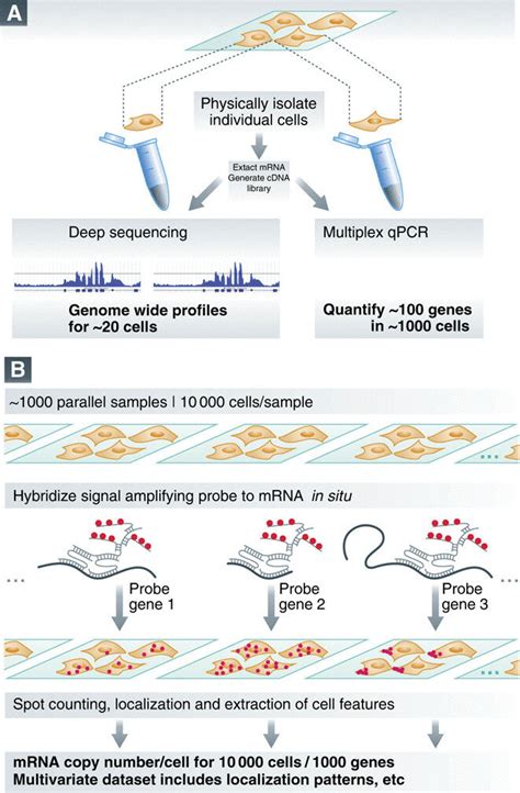 Image result for Transcriptomics technologies Single-cell Transcriptomics