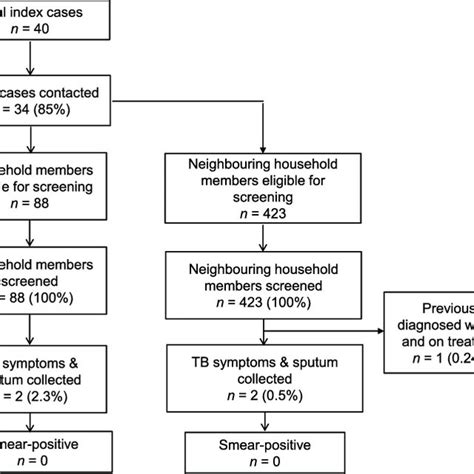 Tuberculosis Treatment Algorithm 的图像结果