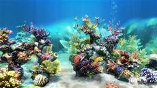 Printable Fish Tank Background by Fish Aquarium Backgrounds Printable 1000 Aquarium Ideas Printable Fish Tank Background