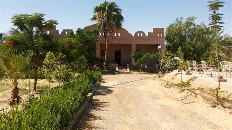 ALZAYTUNA HOTEL (Siwa) - Hotel Reviews & Photos - Tripadvisor