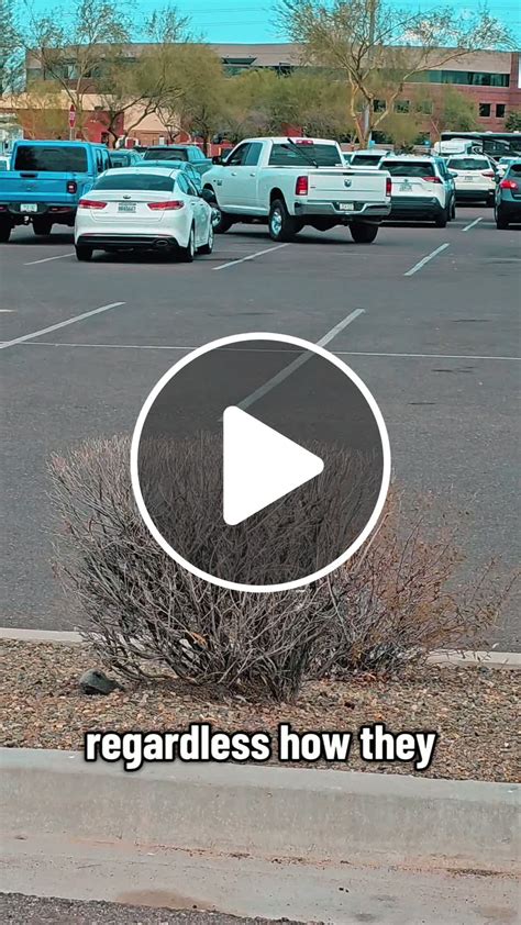 Taylor Swift 'Terrified' of Charlie Kirk 'Retaliation' Attack Against ...