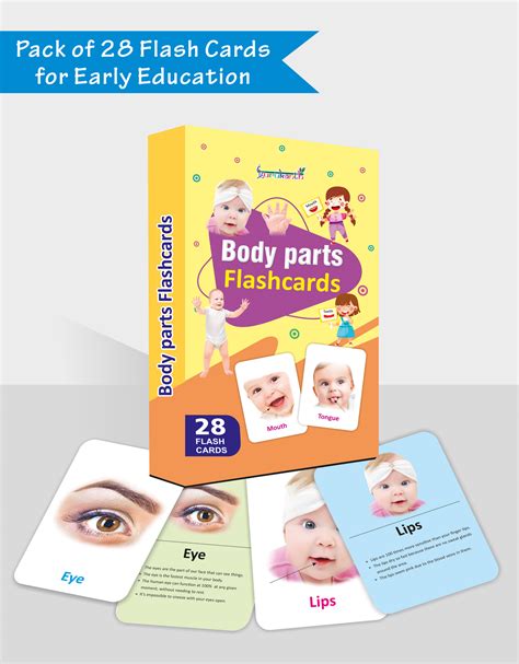 Body Parts Flash Cards – Kuviyal