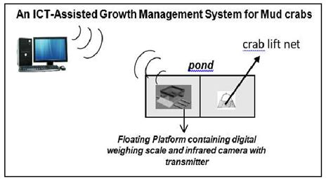 System Interface Diagram Example 的图像结果