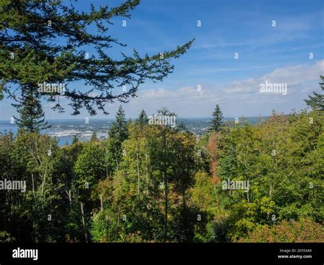 Sehome Hill Arboretum is an 180-acre (73-hectare) park of second growth ...