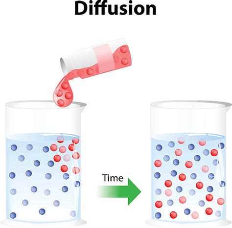 How Diffusion Works Animation 的图像结果
