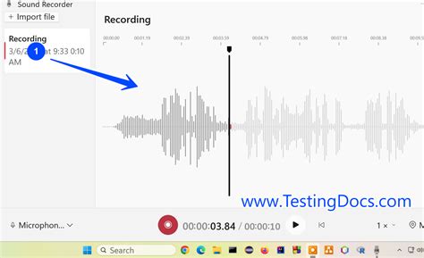 Image result for Windows Sound Recorder PNG