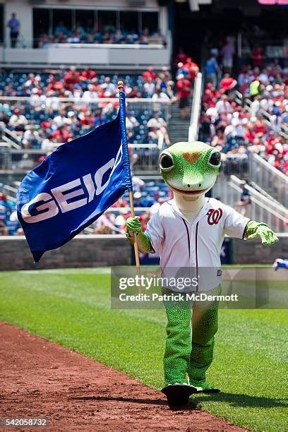 Geico Racing Presidents Photos and Premium High Res Pictures - Getty Images