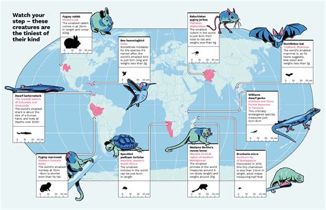 Wild Maps by Mike Higgins | A Nature Atlas for Curious Minds | 9781783787104 | Booktopia