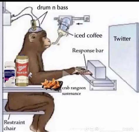 Monkey's Daily Routine - Memes - Worst Jokes Ever
