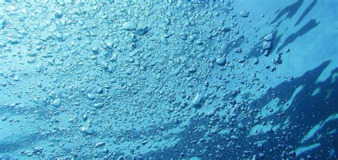 环境dna 的图像结果