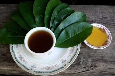 manfaat dari air rebusan ketumbar