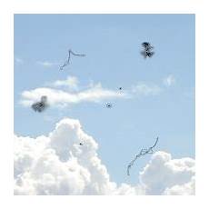 mosche volanti cure what we see mosche volanti floaters mosche volanti cure what we see mosche volanti floaters