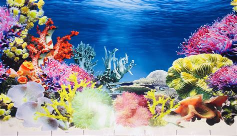 Hd Aquarium Background