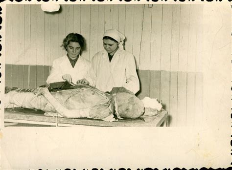 Image result for Dissection Human Postmortem