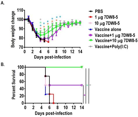 A Glycolipid α-GalCer Derivative, 7DW8-5 as a Novel Mucosal Adjuvant ...