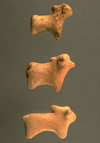 Wooden Installation – thestrangeco