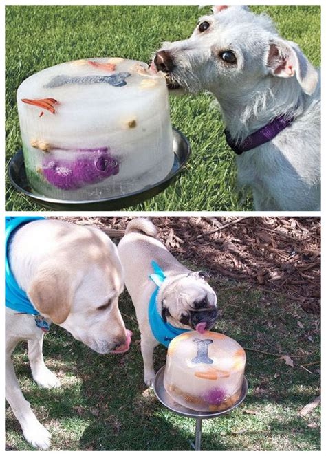 Make an ice lick by freezing toys, bones, and chicken broth into a cake mold. | Diy dog stuff ...