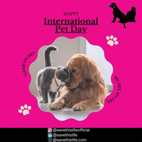 Save This Life - Microchip & Pet Recovery System (@savethislifeofficial ...