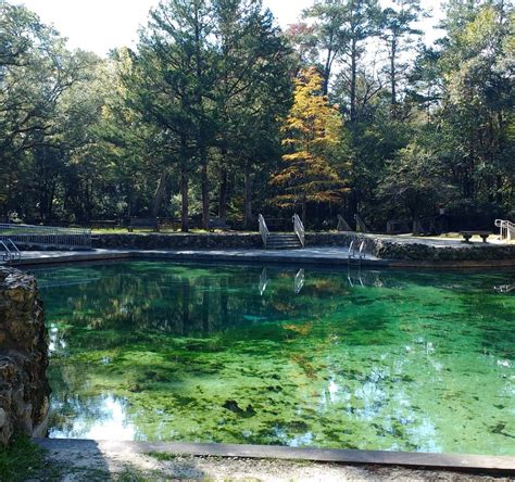 Ponce de Leon Springs State Park - ATUALIZADO 2022 O que saber antes de ...