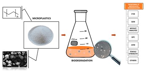 Isolation of Thermophilic Bacteria and Investigation of Their ...