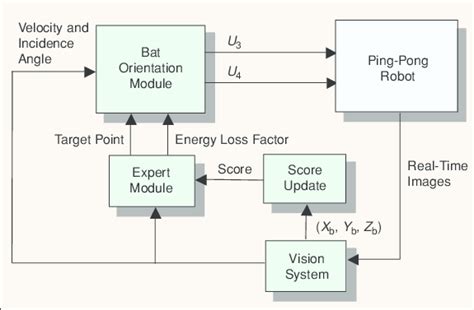Module Experts 的图像结果