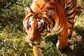 Image result for Computer Image in Bit Computer Graphic