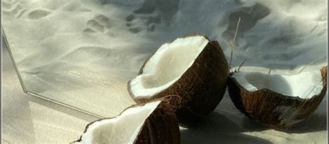 Ovarian Follicles and Fertility: Understanding the Connection