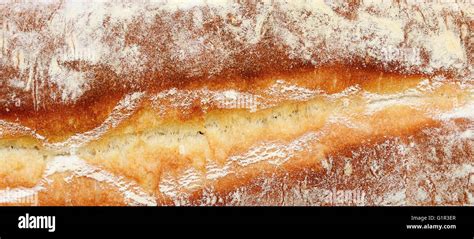 Image result for Bread Crust