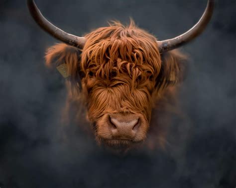 Highlands In Ethiopia