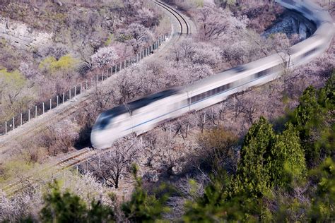 开往春天的列车|摄影|风光摄影|夏yi - 原创作品 - 站酷 (ZCOOL)