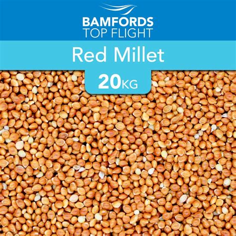 Red Millet Bird Seed 20kg - Food for Birds