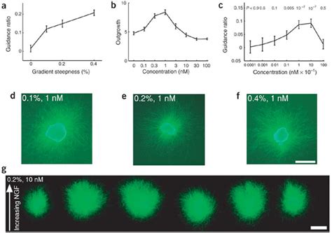 Image result for DRG Rotation Guide