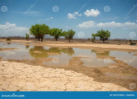 Oasis from Rain Water in Desert Stock Photo - Image of sharqia, sinaw ...