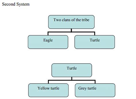 The Structuralism - Anthropology Optional for UPSC PDF Download