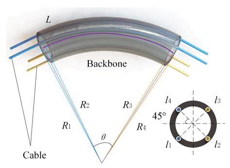 Design and Modeling of a Bio-Inspired Compound Continuum Robot for ...