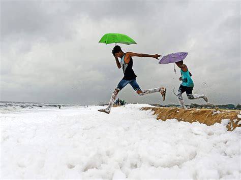 How EIA thumbs its nose at environment: Pollute now, will forgive later ...
