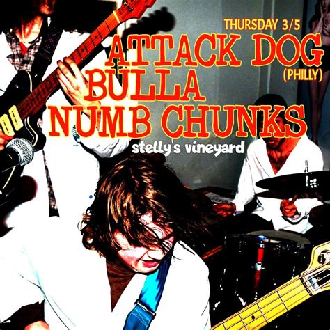 ATTACK DOG | BULLA | NUMB CHUNKS, 2420 S Gaines St, Little Rock, AR ...