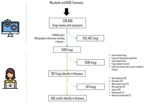 A Repertoire of Clinical Non-Dermatophytes Moulds