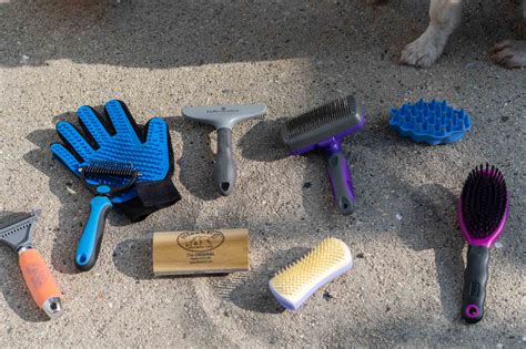 Dog brush for short hair shedding new arrivals
