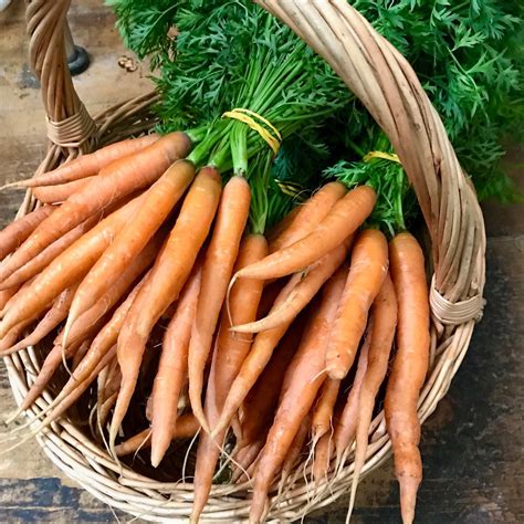 Local Source Market 的图像结果