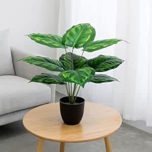Buy Cocco.Bua Artificial Plant |12 Leaves, 55cm Tall, with Black Pot ...